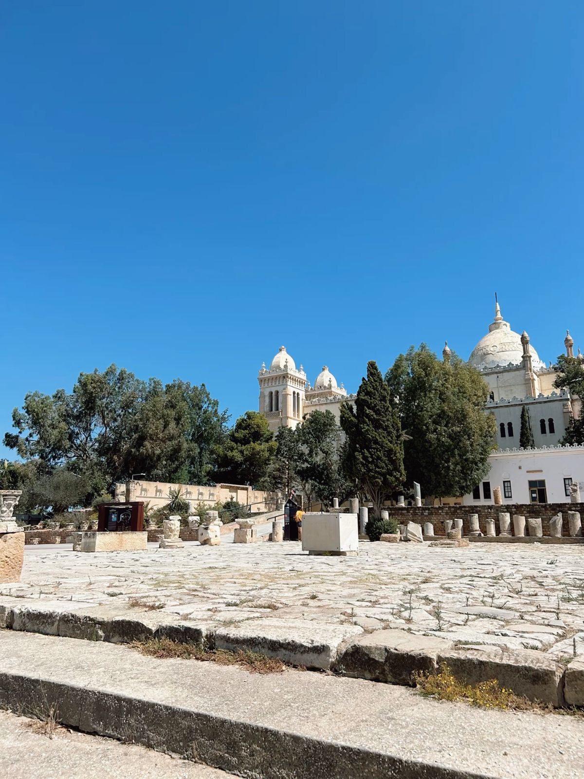 Tunis, Carthage & Sidi Bou Said Tour — photo 5
