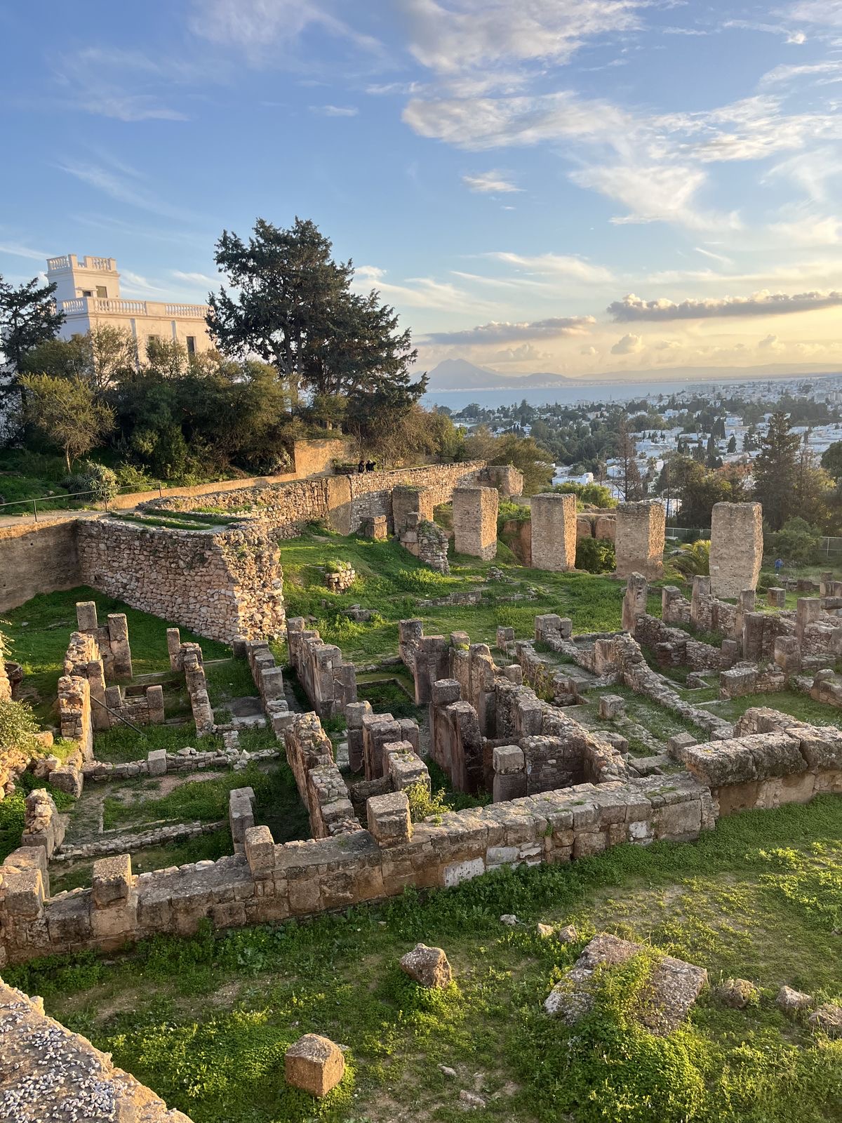 Tunis, Carthage & Sidi Bou Said Tour — photo 9