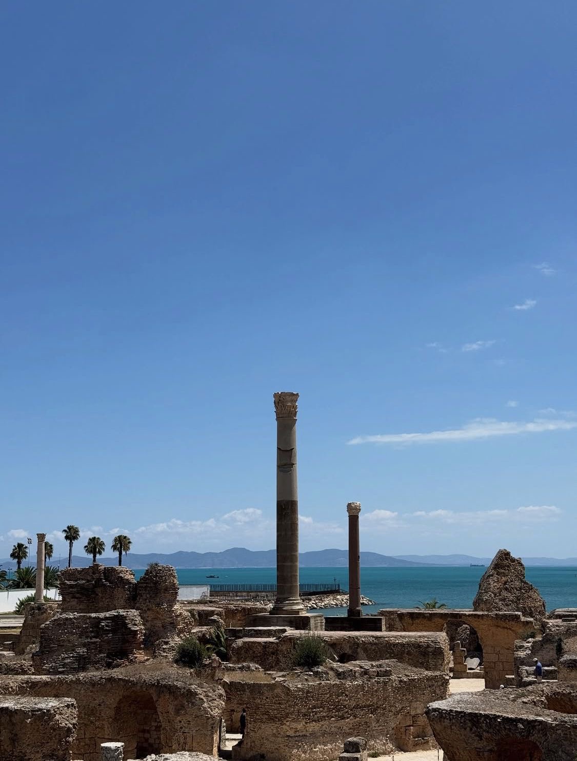 Tunis, Carthage & Sidi Bou Said Tour — photo 6