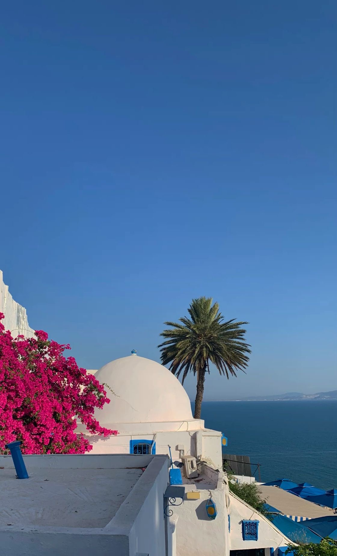 Tunis, Carthage & Sidi Bou Said Tour — photo 1