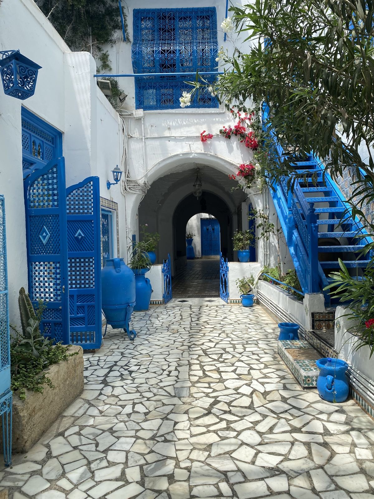 Blue-and-white courtyard in Sidi Bou Said