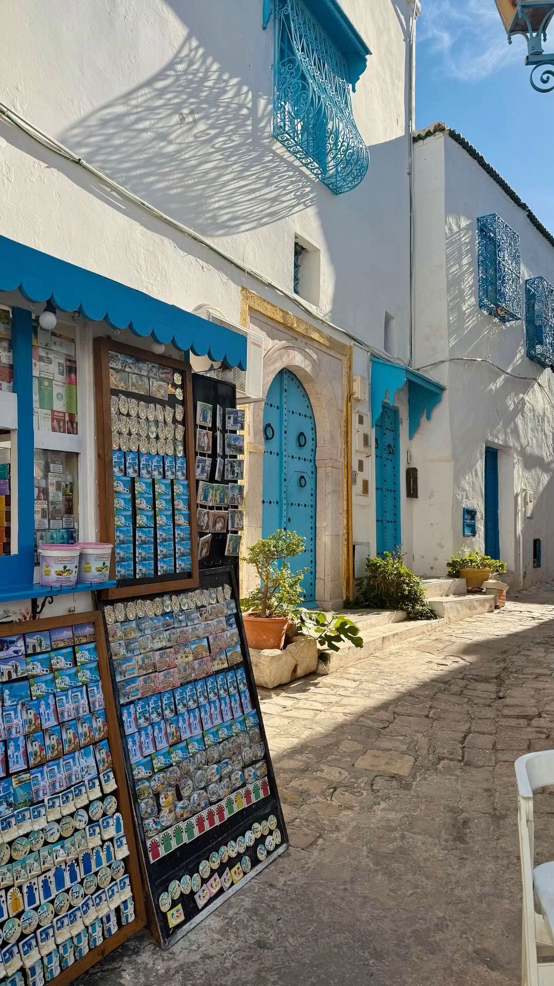 Tunis, Carthage & Sidi Bou Said Tour — photo 12