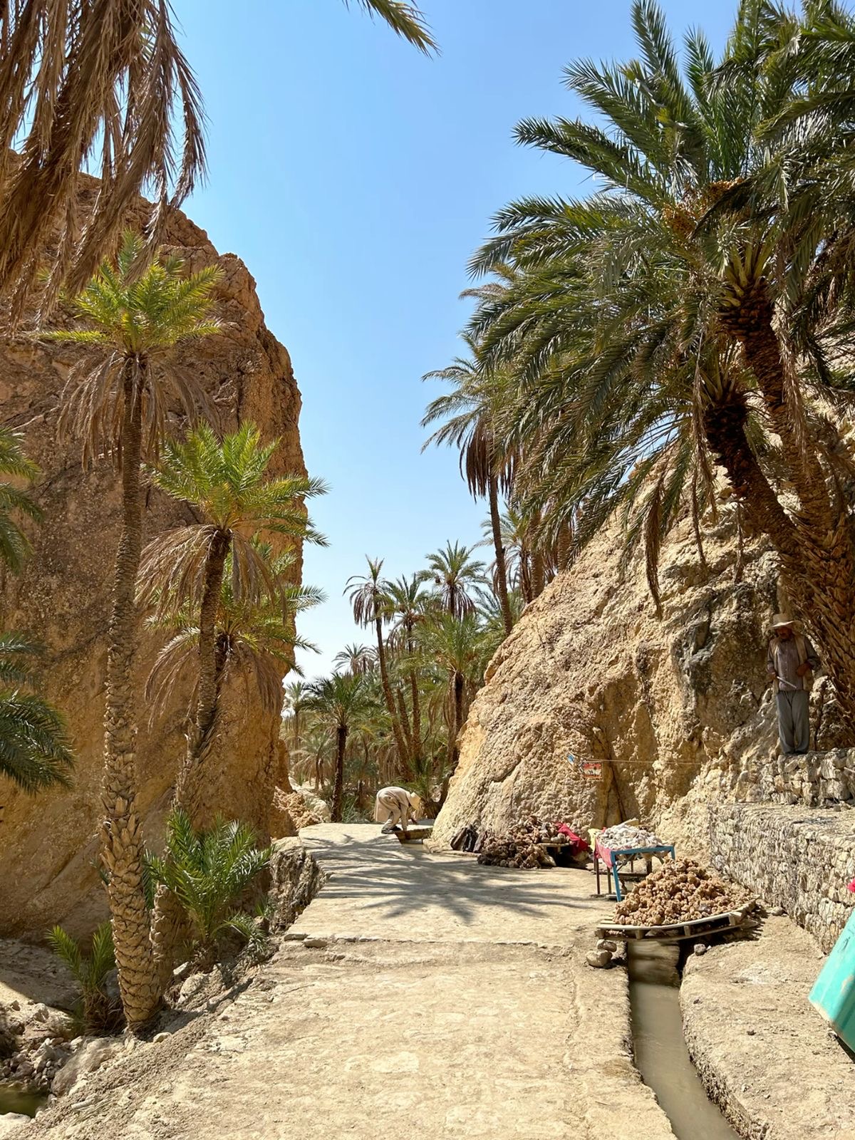 Sahara VIP Adventure — photo 5