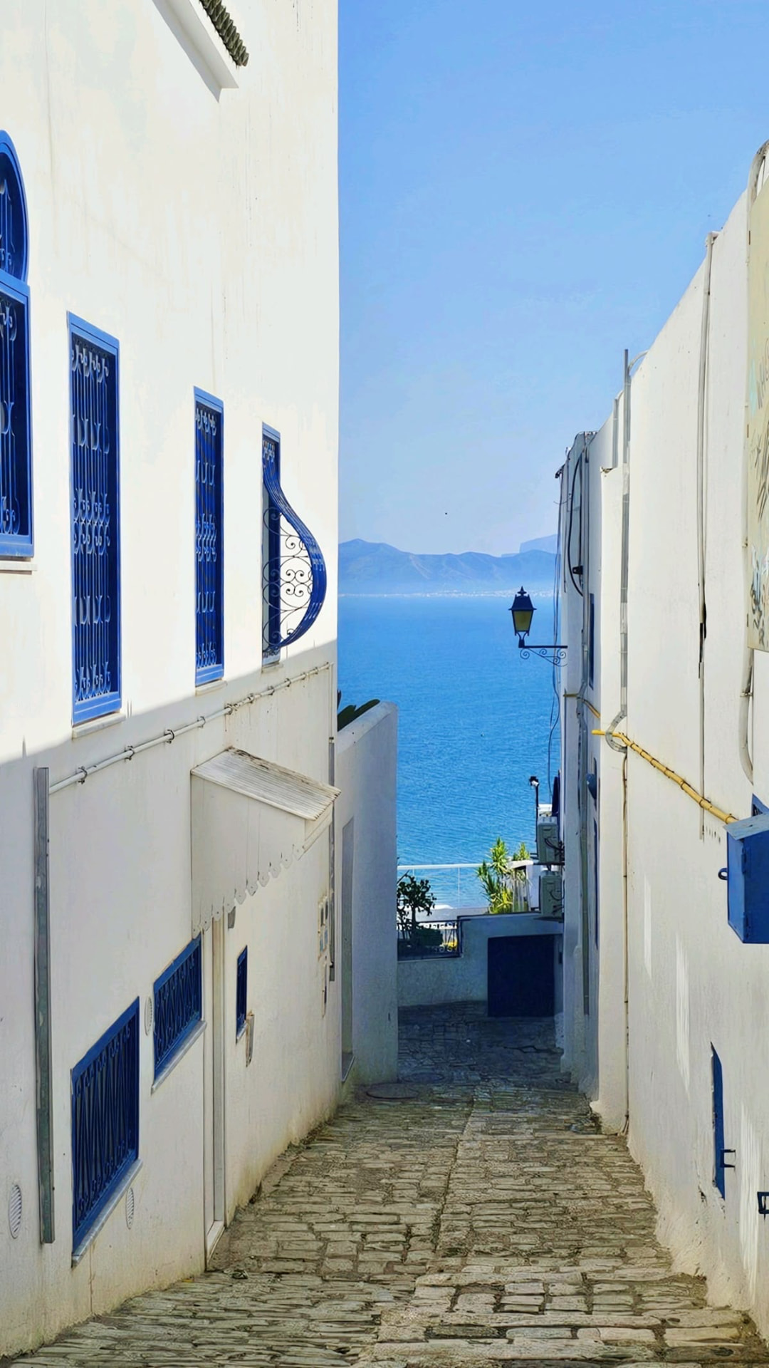 Tunis, Carthage & Sidi Bou Said Tour — photo 3